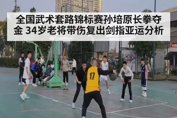 全国武术套路锦标赛孙培原长拳夺金 34岁老将带伤复出剑指亚运分析