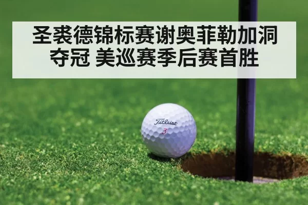 圣裘德锦标赛谢奥菲勒加洞夺冠 美巡赛季后赛首胜